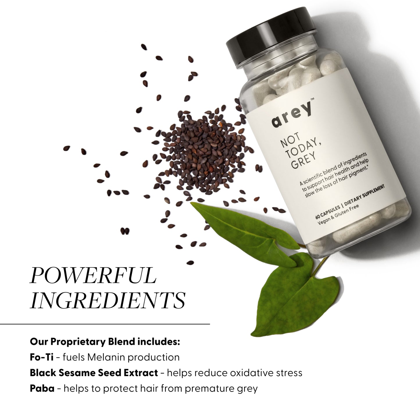 Powerful Ingredients:
Our Proprietary Blend includes:
Fo-Ti - fuels Melanin production
Black Sesame Seed Extract - helps reduce oxidative stress
Paba - helps to protect hair from premature grey