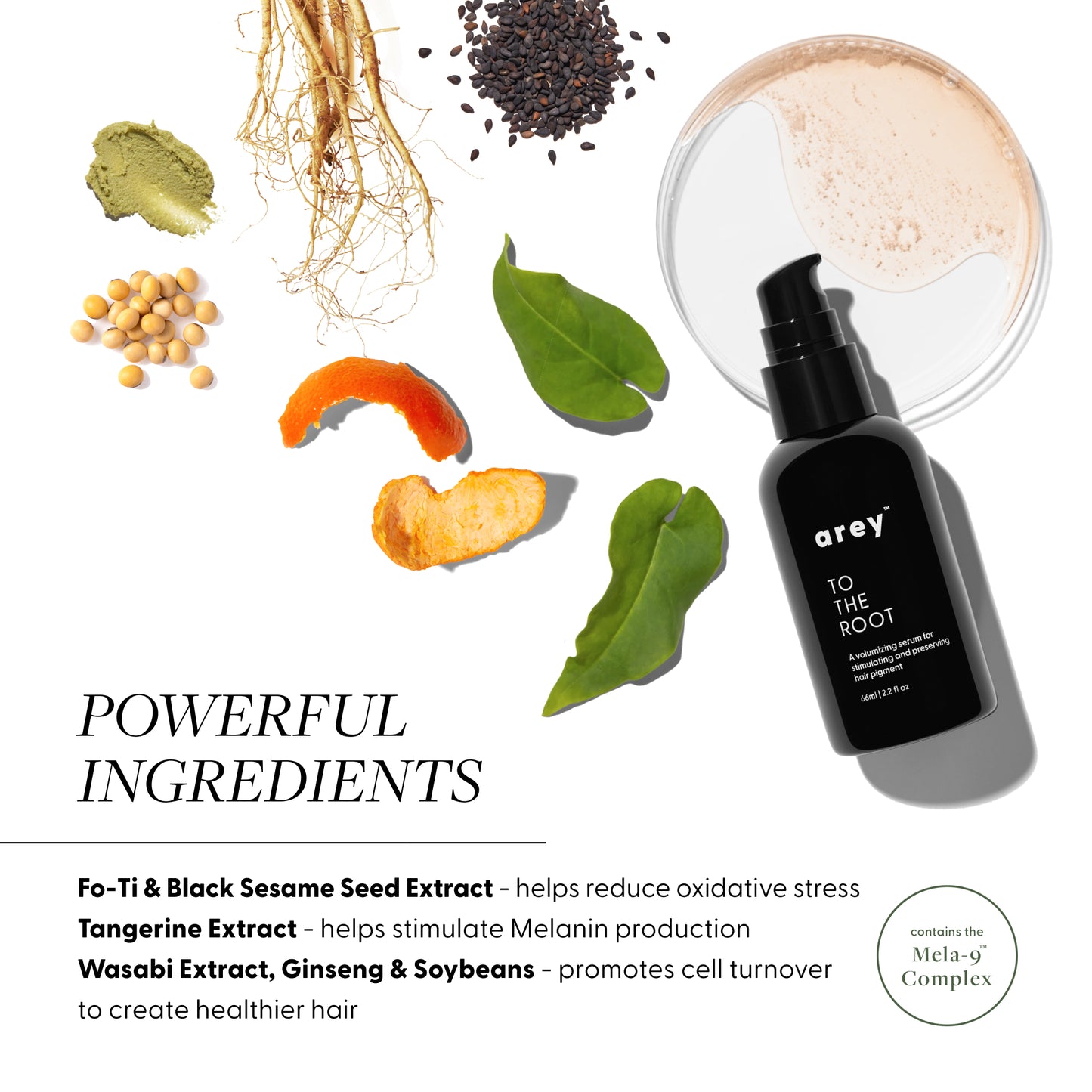 Powerful Ingredients: 
Fo-Ti & Black Sesame Seed Extract - helps reduce oxidative stress
Tangerine Extract - helps stimulate Melanin production
Wasabi Extract, Ginseng & Soybeans - promotes cell turnover
to create healthier hair